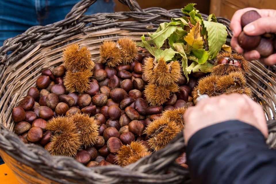 31 OTTOBRE / 3 NOVEMBRE – SAGRA DELLA CASTAGNA E DEL PECORINO VITULANESE