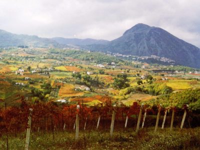 Paupisi-Torrecuso-Vigneti-e-Dormiente-del-Sannio-1536x1028